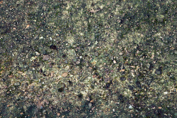 Wall with green stains