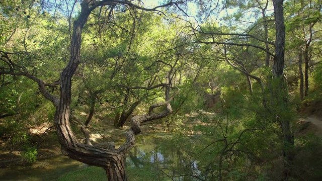 river in a forest (Seven springs, Epta piges) in Rhodes, Greece.