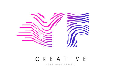 YF Y F Zebra Lines Letter Logo Design with Magenta Colors © ankreative
