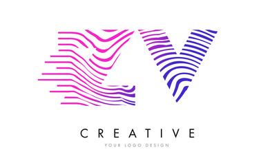 ZV Z V Zebra Lines Letter Logo Design with Magenta Colors