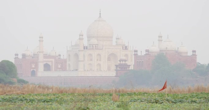 Kakri (Indian Cucumber), and Ghiya (Bottle Gourd) farmers work with the Taj Mahal as their backdrop