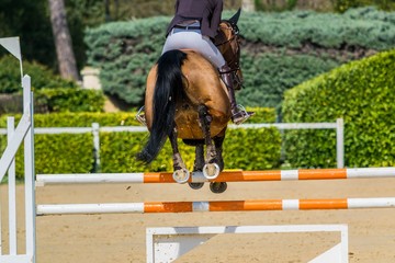 Equitation, saut d'obstacle, comp&eacute;tition.