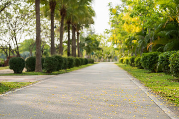 Fototapeta na wymiar Landscape plublic park with jogging track, Selective focus shallow dept field