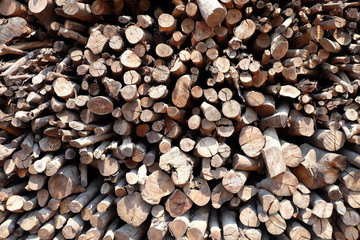 Firewood Background.