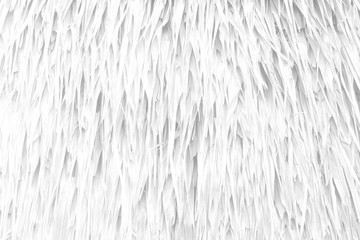 White Straw Wall Texture Background.