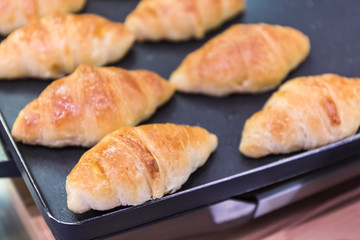 Close up croissant bread.