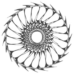 Obraz premium Authentic ring ornament