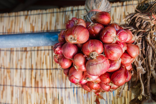 Fresh organic red shallot onion.