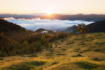 Summer morning mountains rural landscape