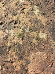 Wall Texture
