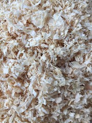 Sawdust