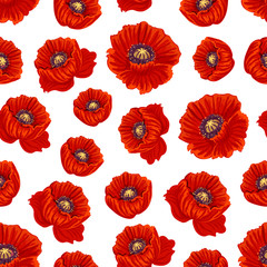 Spring poppy flower seamless pattern background