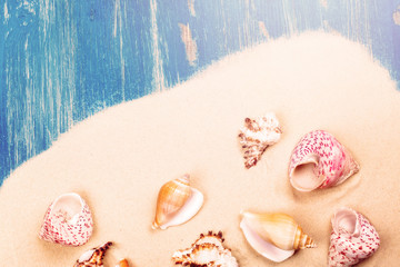 Beach sand and sea shells