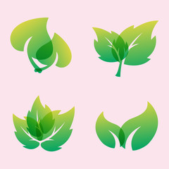 Green leaf eco design friendly nature elegance symbol and natural element ecology organic vector illustration.