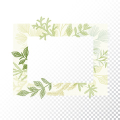Rectangular floral frame ornament vector. Green branches and leaves border. Transparent background