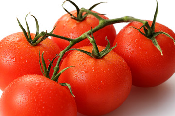 トマト　Tomato