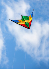 Colourful kite flying