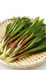 行者にんにく　Alpine leek