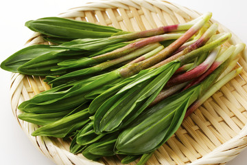 行者にんにく　Alpine leek