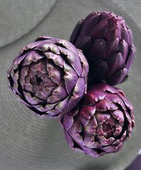 Fototapeta premium Purple artichokes on a table