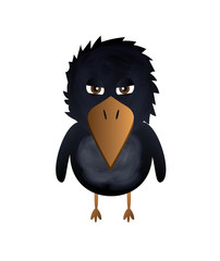 Serious looking crow standing on white background,cartoon style, vector eps10 illustration