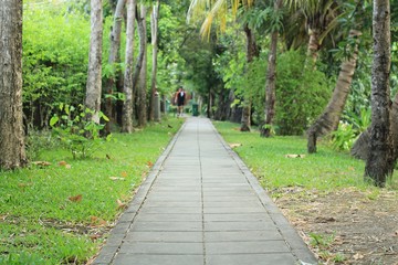 cement block walkway in the park