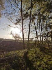 Początek dnia © michalsen