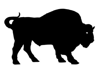 buffalo, bison, bull, silhouette