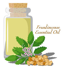 Frankincense Essential Oil