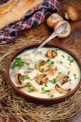 Soup puree from of champignons and chicken
