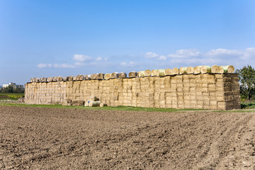 bale of straw after harvest