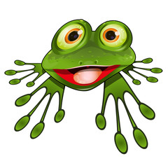 Cheerful Green Frog
