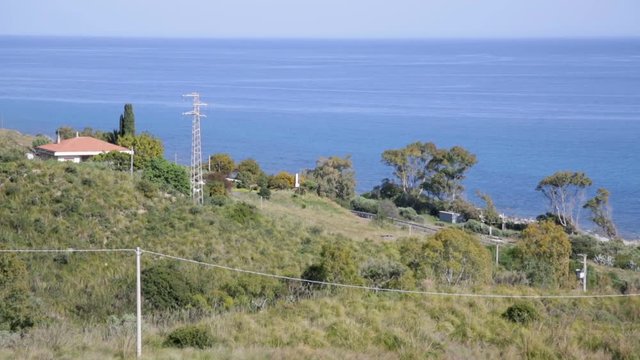 Costa calabrese, alberi di Begamotto