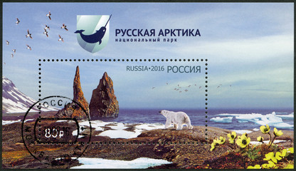RUSSIA - 2016: shows The Russian Arctic National Park © Popova Olga