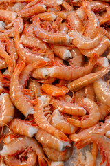 shrimp on the counter market