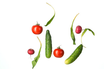 The fresh tomatos, cucumbers, radish in spray of water.