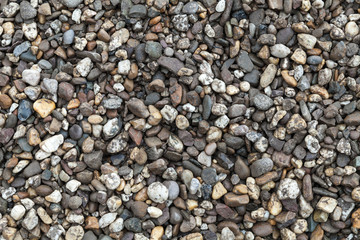 Wet dirty pebble, Black Sea coast