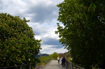 Fußgängerbrücke in Freiburg