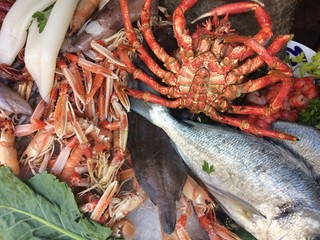 Fresh various raw alive seafood on ice 