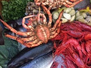 Fresh various raw alive seafood on ice 