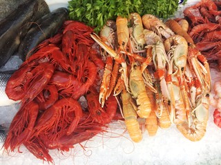 Fresh various raw alive seafood on ice 