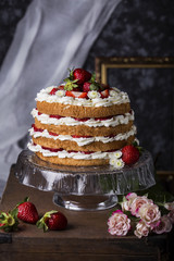 angel food cake with fresh berries