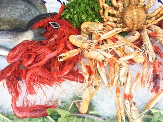 Fresh various raw alive seafood on ice 