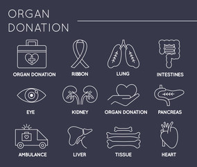 Organ Donation icon set
