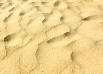 Sand dune located in the Bolonia Inlet, within the Estrecho Nature park in Andalusia, Spain.
