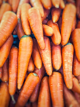 The pick-up of orange carrot supermarket