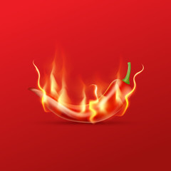 Red hot chili pepper with flame on a red background. Hot and spi