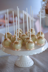 Fototapeta na wymiar cake pops on a dessert table at party or wedding celebration