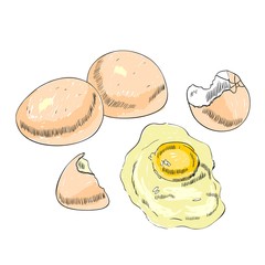 Hand drawn scrambled chicken eggs. Rural bird farming.