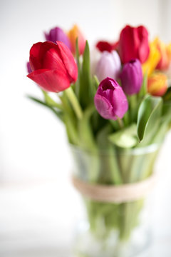 Tulips in a glass vase with short depth of field